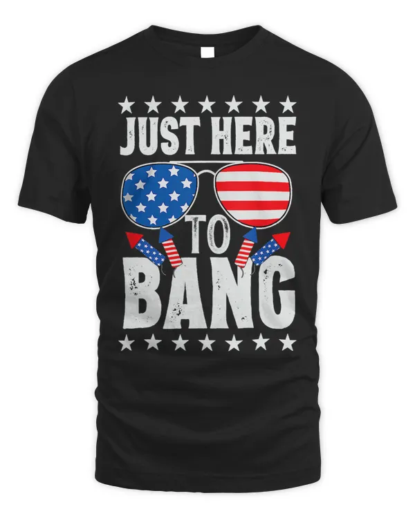 Funny 4th Of July Im Just Here To Bang USA Flag Sunglasses 4