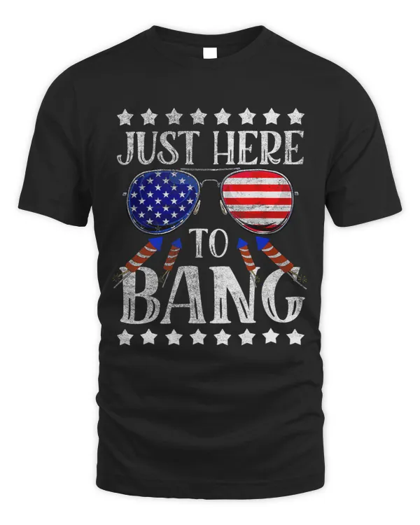 Funny 4th Of July Im Just Here To Bang USA Flag Sunglasses