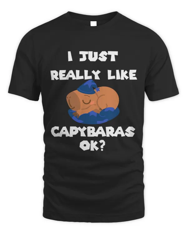 Funny Capybara Rodent Dont Worry Capy Retro Sunset Vintage