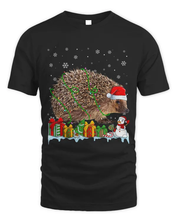 Funny Santa Hat Hedgehog Christmas Lights Animals Lover