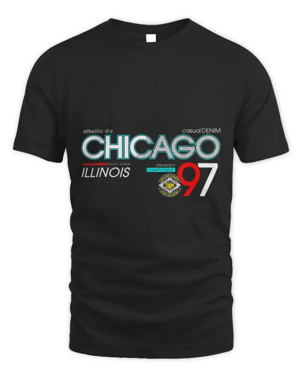 Chicago City Flag Downtown Skyline Chicago 3