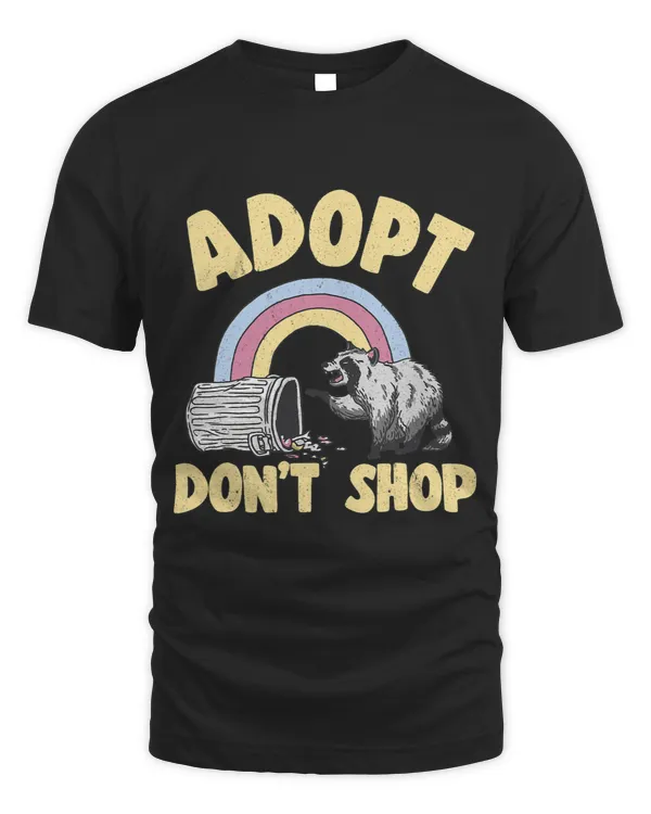 Adopt Dont Shop Rainbow Raccoon22