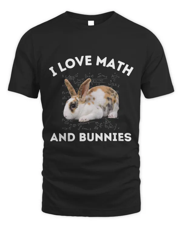 I Love Math and Bunnies Rabbit Lover Owner Algebra Teacher