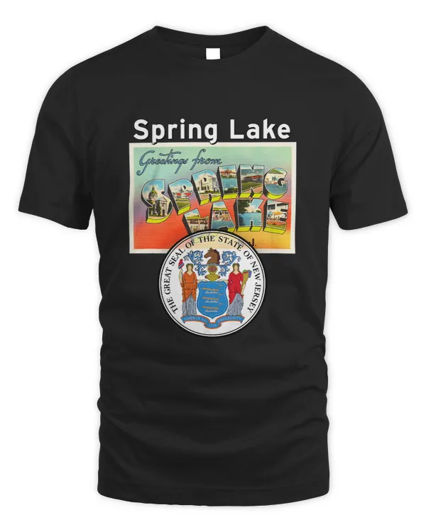 Spring Lake New Jersey NJ Large Letter Postcard Seal Travel
