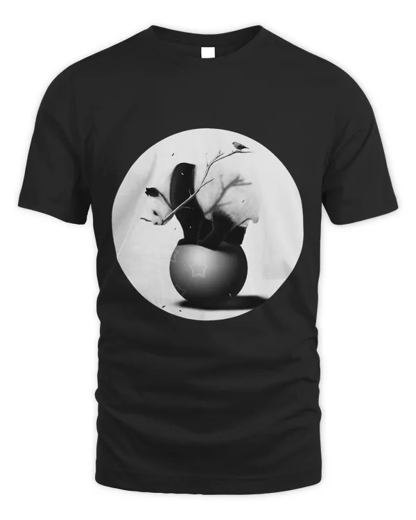 Panda Balancing on a Ball