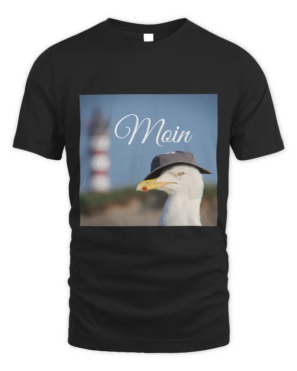 Moin Seagull