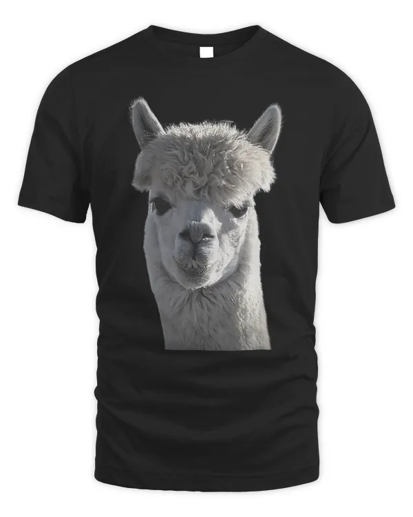 Mr. Al Paca Paca the Alpaca