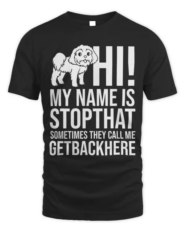 Shih Poo Dog Puppies Owner Lover 664