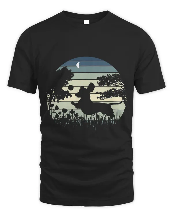 Dachshund Wiener Dog Sunset Garden Nature Lover