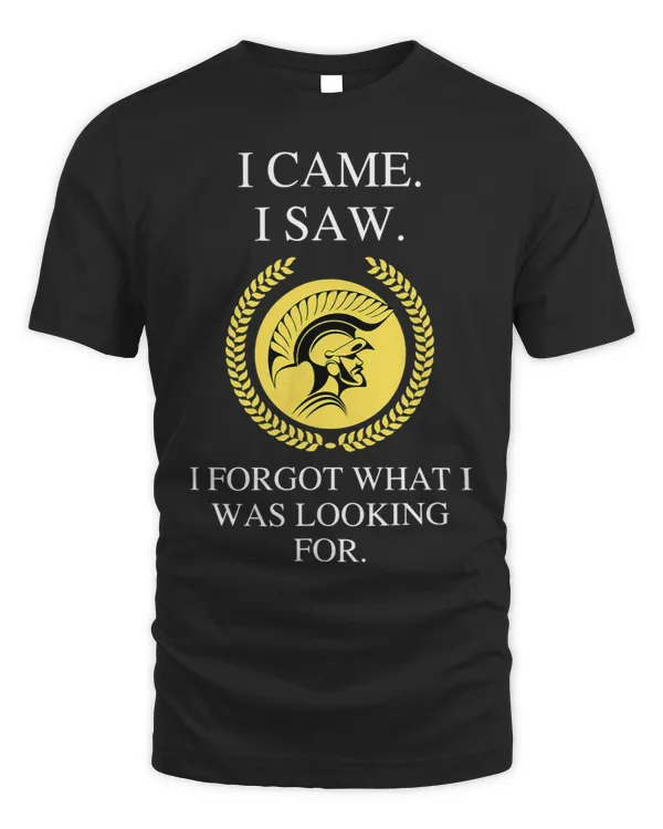 I Came I Saw I Forgot What I Was Looking For a Funny