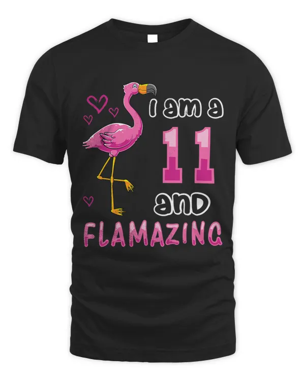 Flamigo Flamazing birthday theme for 11 Years Old