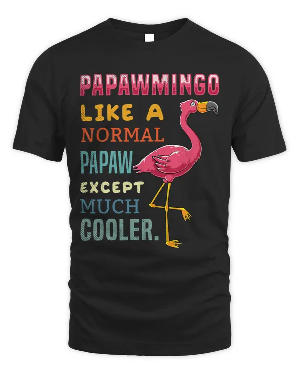 Flamigo retro theme funny definition for PAPAW