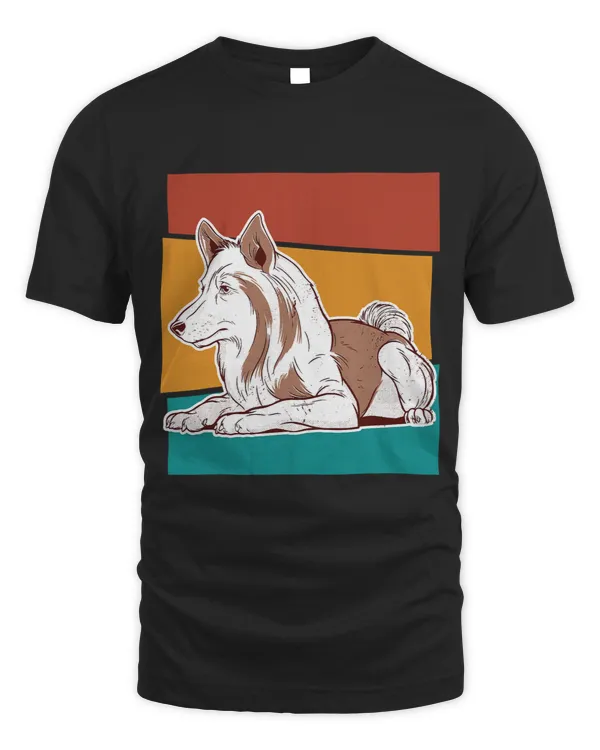 Dog Shetland Sitting Dog Shetland Sheepdog