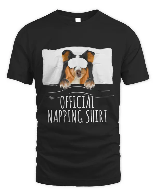 Dog Shetland Sleeping Dog Shetland Sheepdog Official Napping