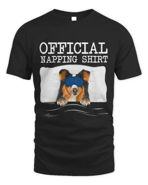 Dog Shetland Sleeping Shetland Sheepdog Sleep Official Napping