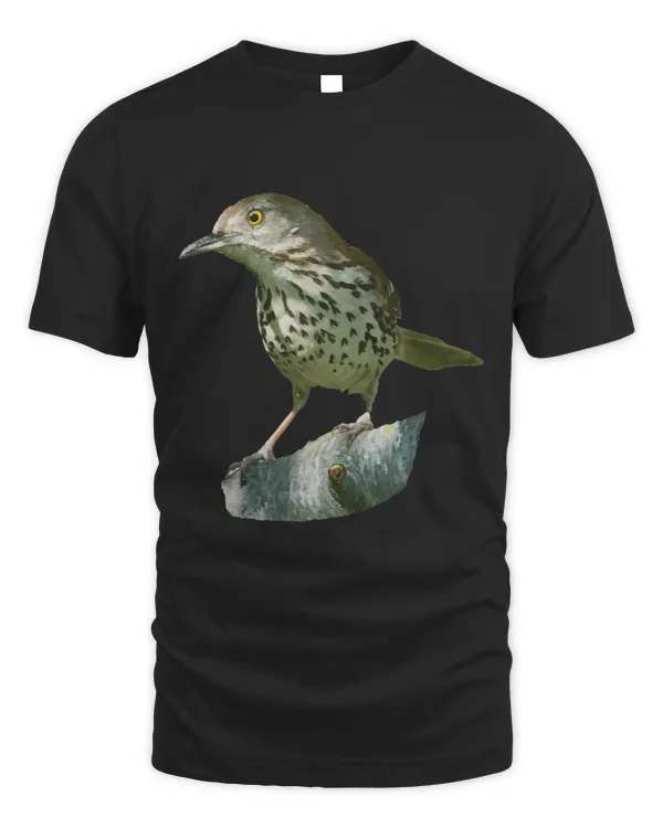 Brown Thrasher Graphic Cute Gift Bird Lover Birding