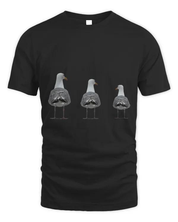 Funny Funny Seagulls