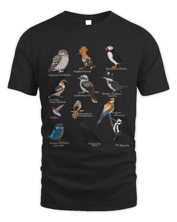 Puffin Monk Hummingbird Bird Animal Biologist