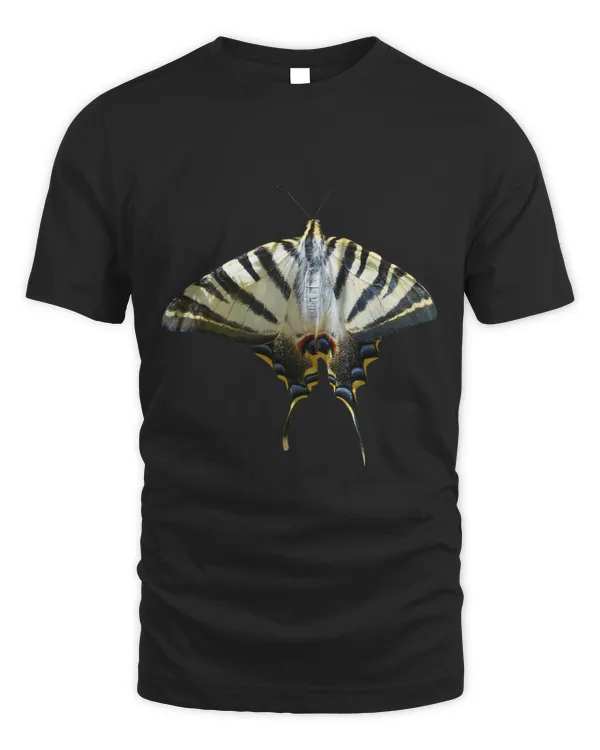 Papilio Machaon Common Yellow Swallowtail Cut Out