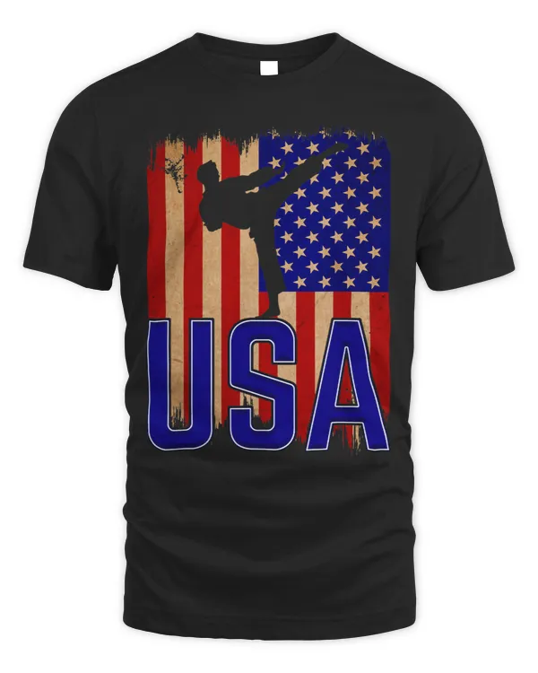 Taekwondo Fighter Silhouette Korean Martial Arts Training