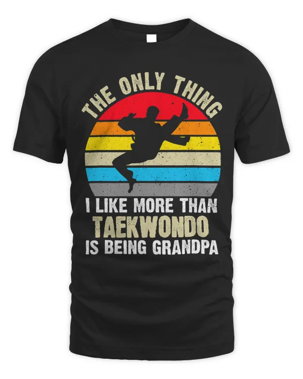 The only thing I like taekwondo Kicking Taekwondo