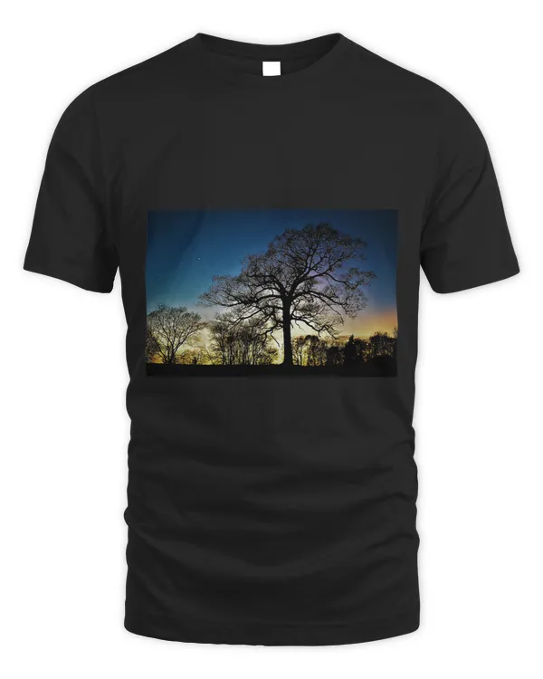 Giant Tree and Moon at Sunset