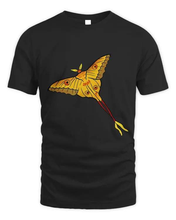 Comet Moth Design of Madagascar Island for Moth Insect Lover