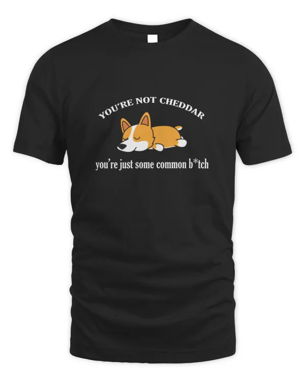 You are not cheddar you are just come common b*tch - funny dog shirt for men and women