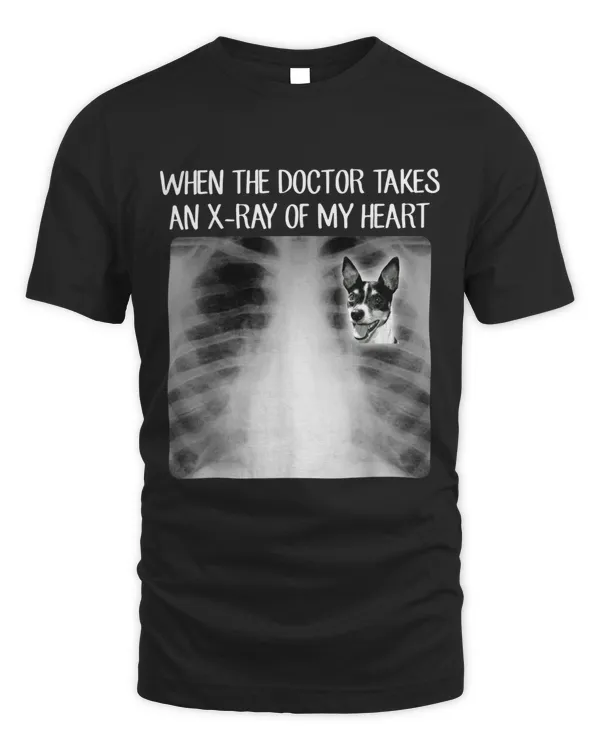 When Doctor Takes X-ray Of My Heart Rat Terrier