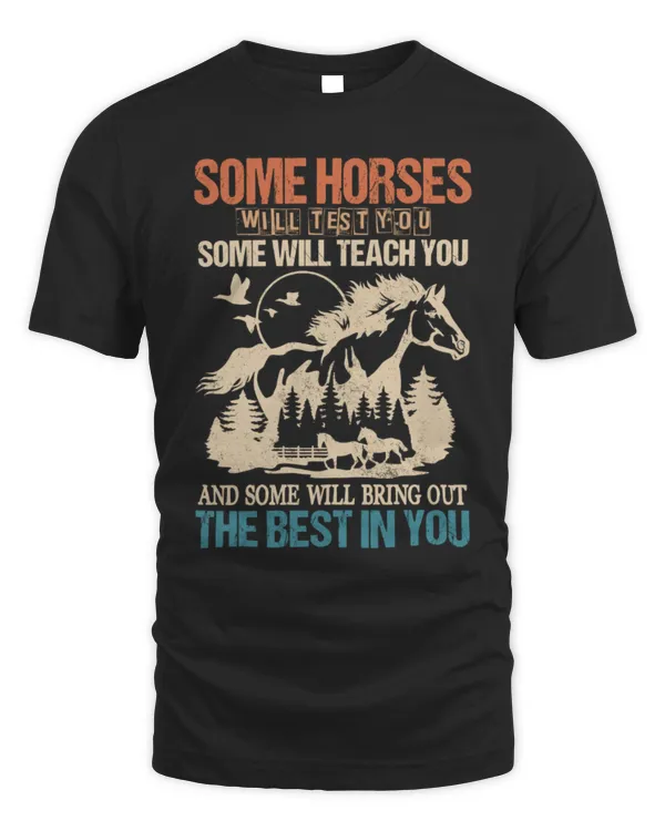 Some Horses Will Test You, Some Will Teach You T-Shirt, Horse Shirt, Horse Lover Shirt, Horse Rider Gift, Horse Owner Gift, Gift For Him