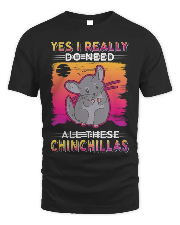 Chinchilla Mammal Yes I really do need all these Chinchillas 1