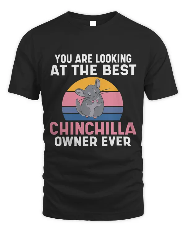 Chinchilla Mammal You are looking at the best Chinchilla Owner Ever