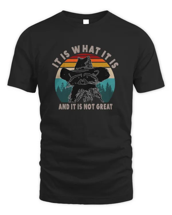 It Is What It Is And It Is Not Great Raccoon