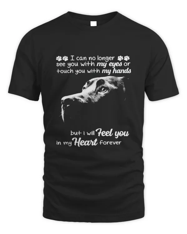 I Can No Longer See You With