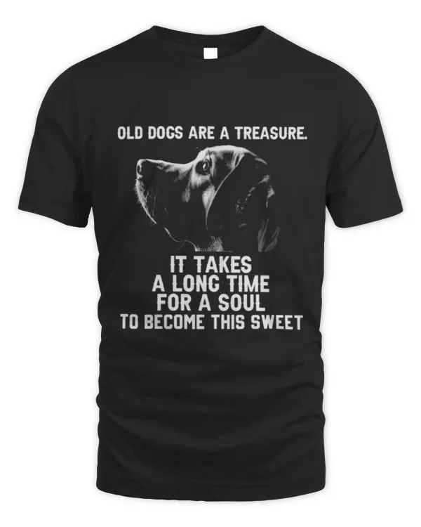 Old Dogs Are A Treasure