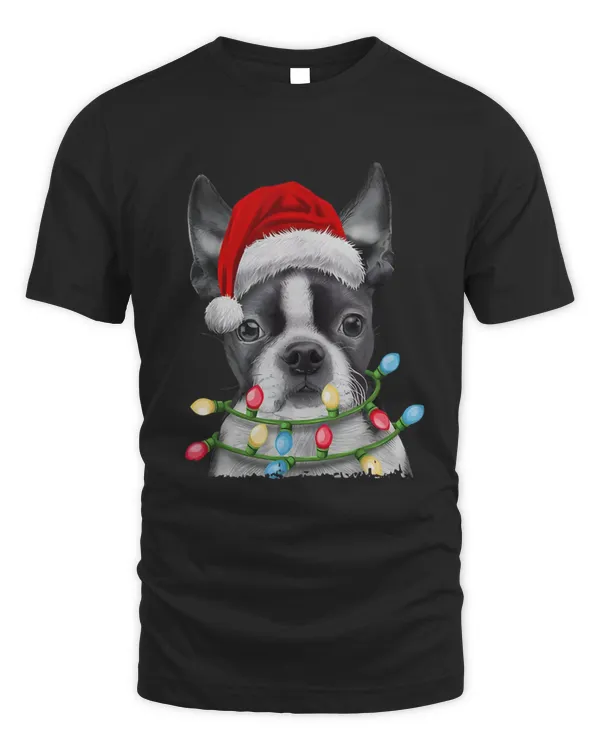 Boston Terrier Santa - Dog Christmas - DCT071105