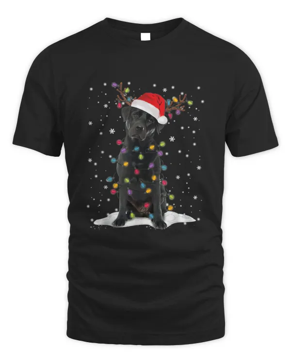 Black Lab Labrador - Dog Christmas - DCT071110