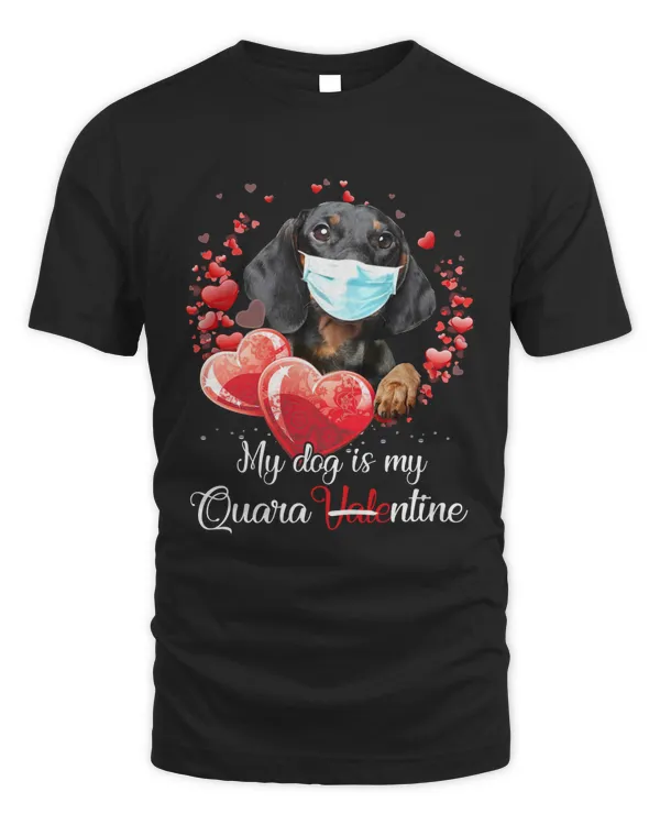 Dachshund Wiener Dog My Quarantine Is My Dog Dog Lover Doxie