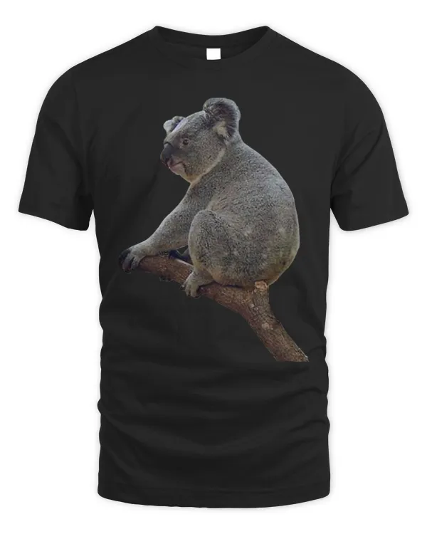 Koala Pet Bear Koala Marsupial Animal