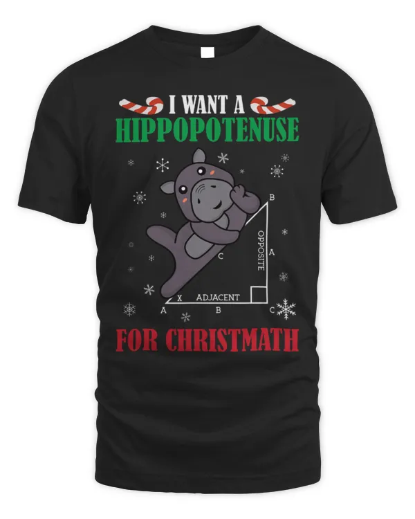 Hippo Pet I Want A Hippopotenuse For Christmath Math Xmas Pajama 21