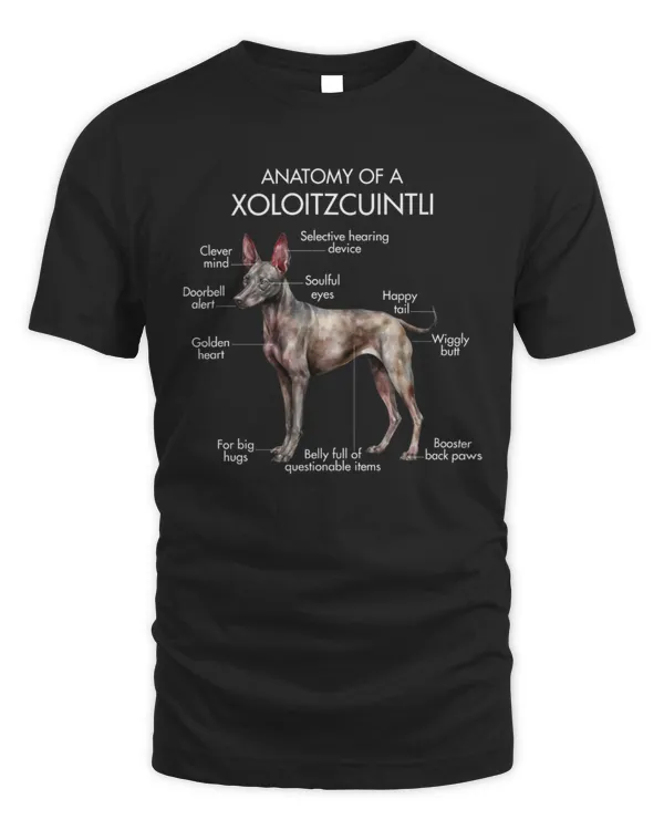 Anatomy Of A Xoloitzcuintli