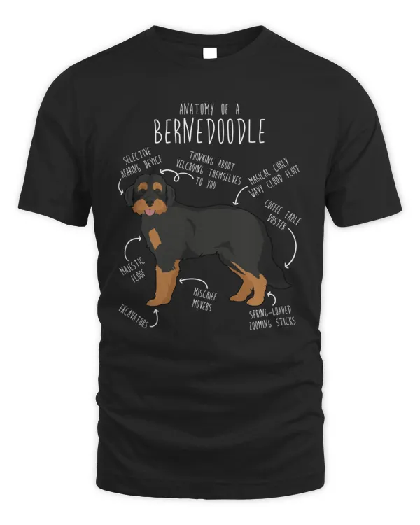 Anatomy Of A Bernedoodle
