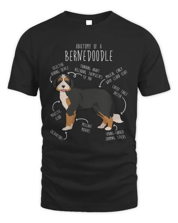 Anatomy Of A Bernedoodle