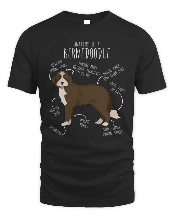 Anatomy Of A Bernedoodle