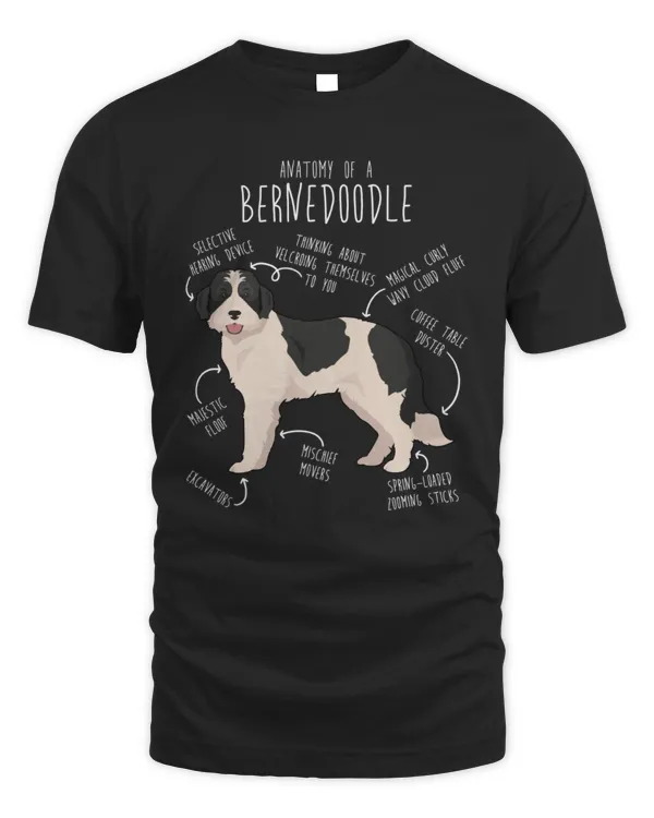 Anatomy Of A Bernedoodle