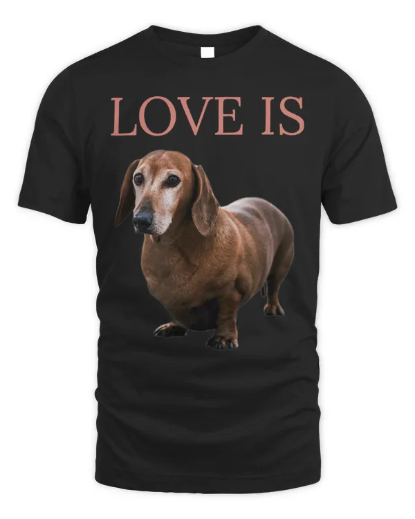 Cute Dachshund Mom Dad Men Women Kids Gift Doxie T 242