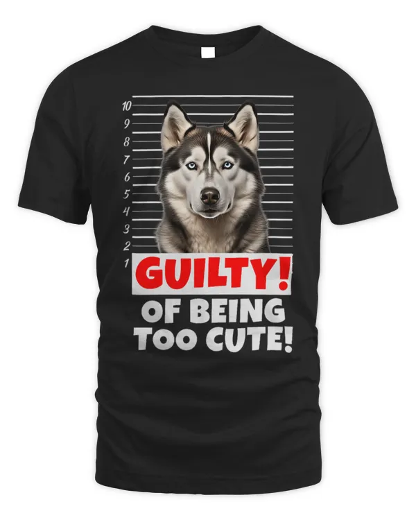 Cute Husky Dog Guilty Too Cute Funny Fur Baby Canine Pet
