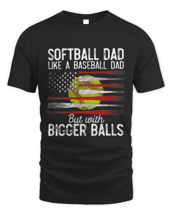 Mens Softball Dad Like A Baseball Dad Definition On Back T-Shirt