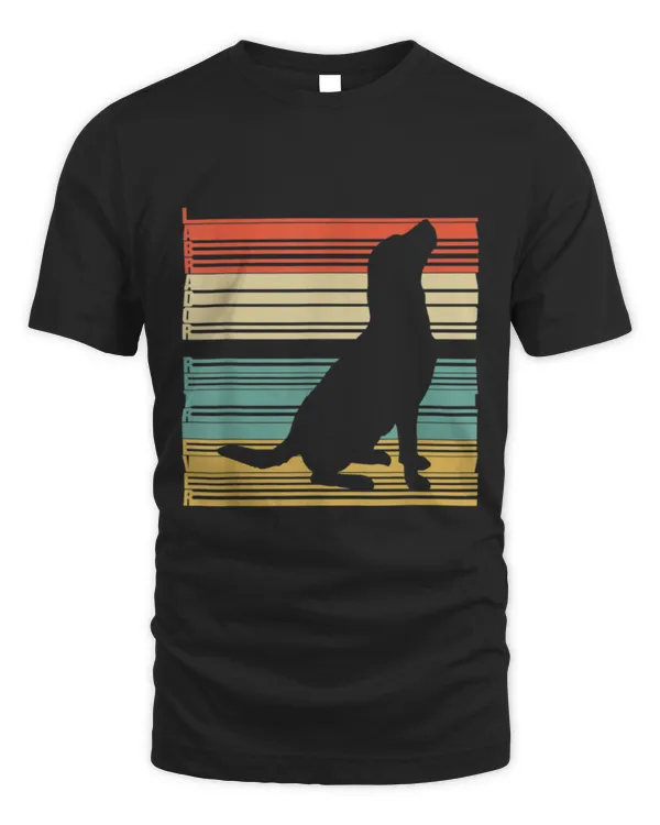 Vintage Labrador Retriever