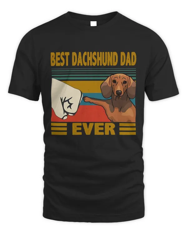 Dachshund 200524 5 Dachshund 200524 5